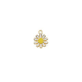 Charm of a Daisy