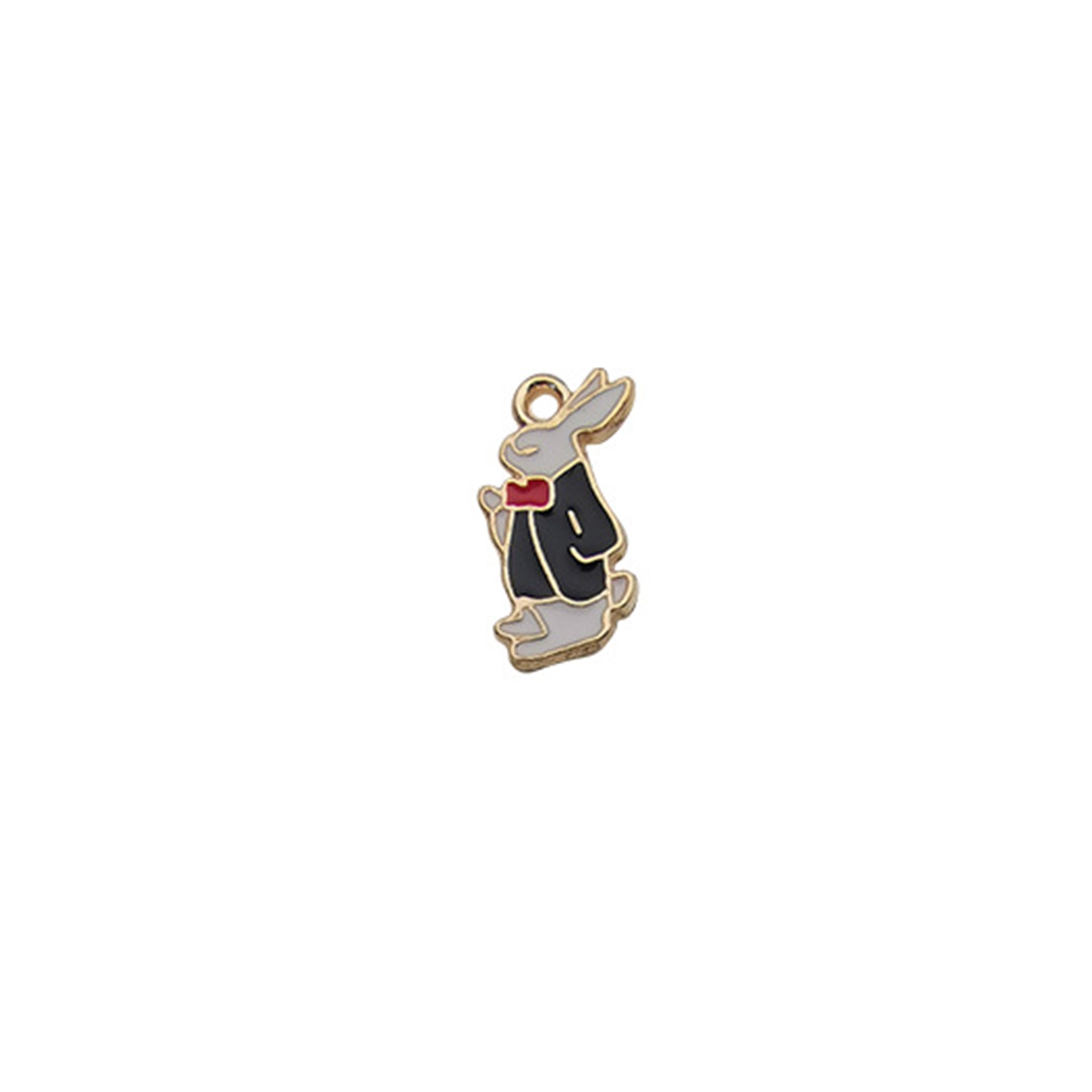 Charm of a Bunny Rabbit