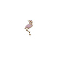Charm of a Flamingo