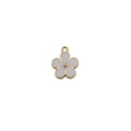 Charm of a Flower