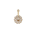 Charm of a Flower