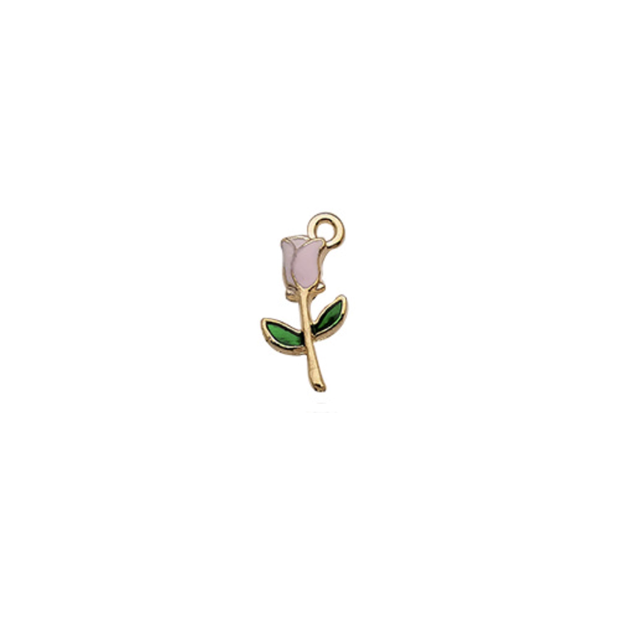 Charm of a Rose