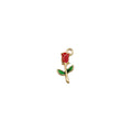 Charm of a Rose