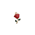 Charm of a Rose