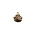 Charm of Sea Shell