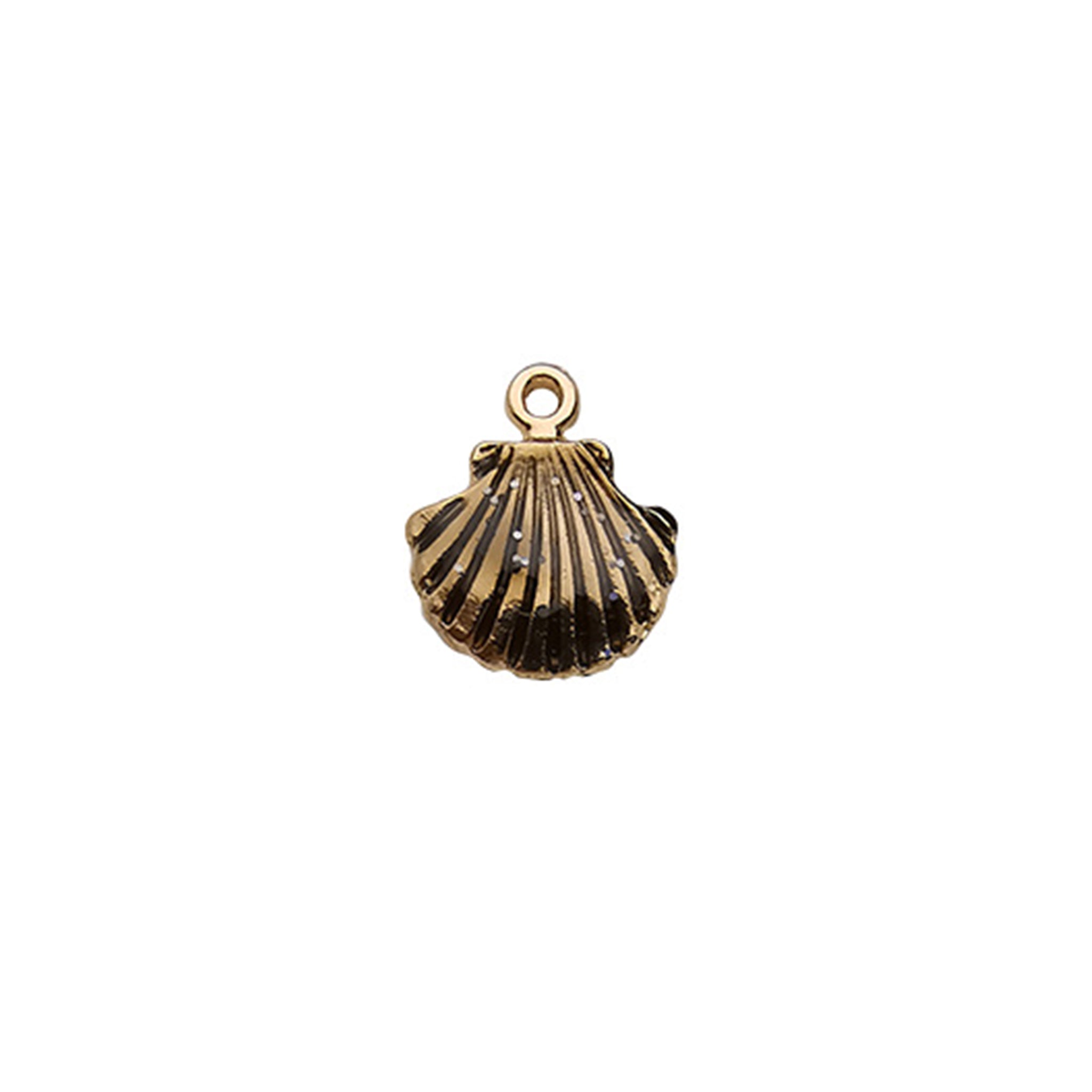 Charm of Sea Shell