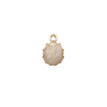 Charm of a Sea Shell
