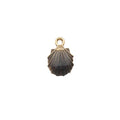 Charm of a Sea Shell