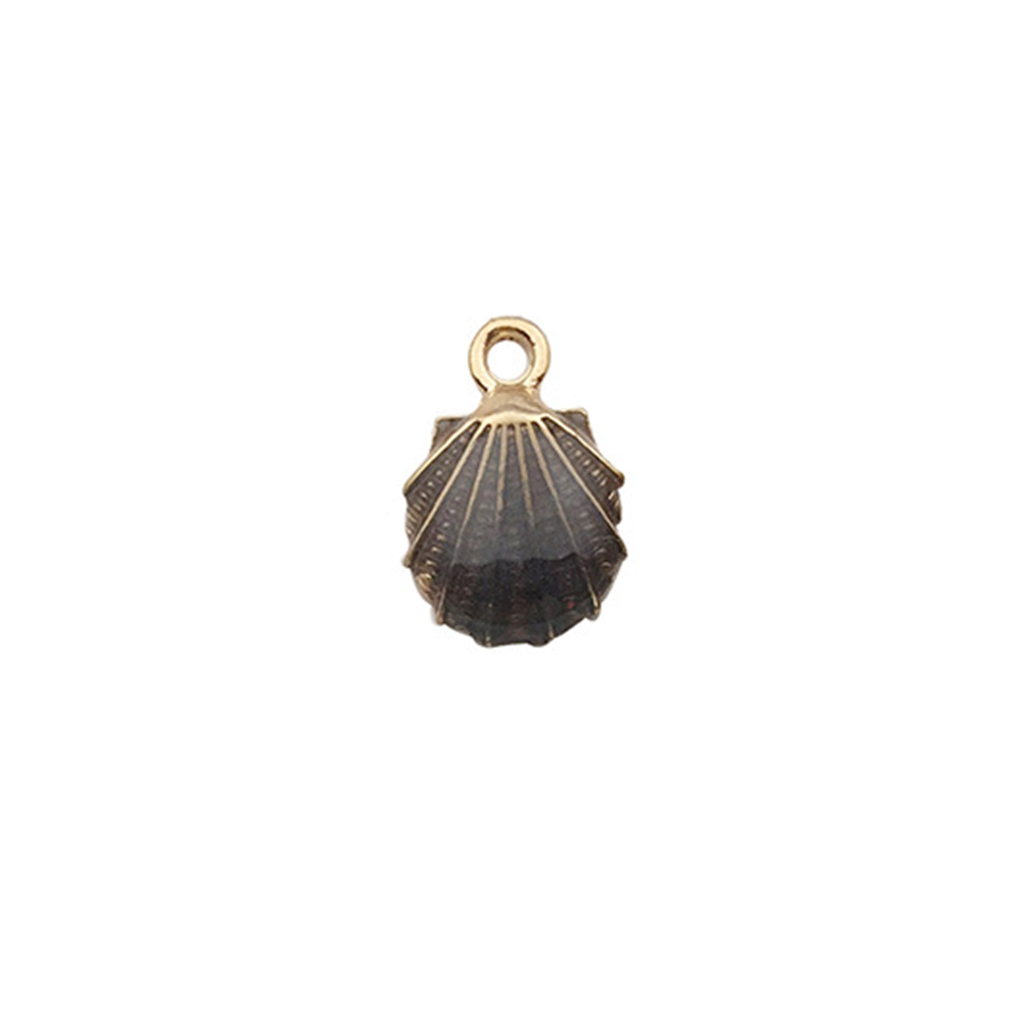 Charm of a Sea Shell