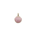 Pendant of Sea Shell