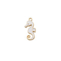 Charm of a Seahorse