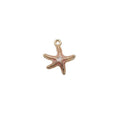 Charm of a Starfish