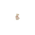 Charm of a Bunny Rabbit