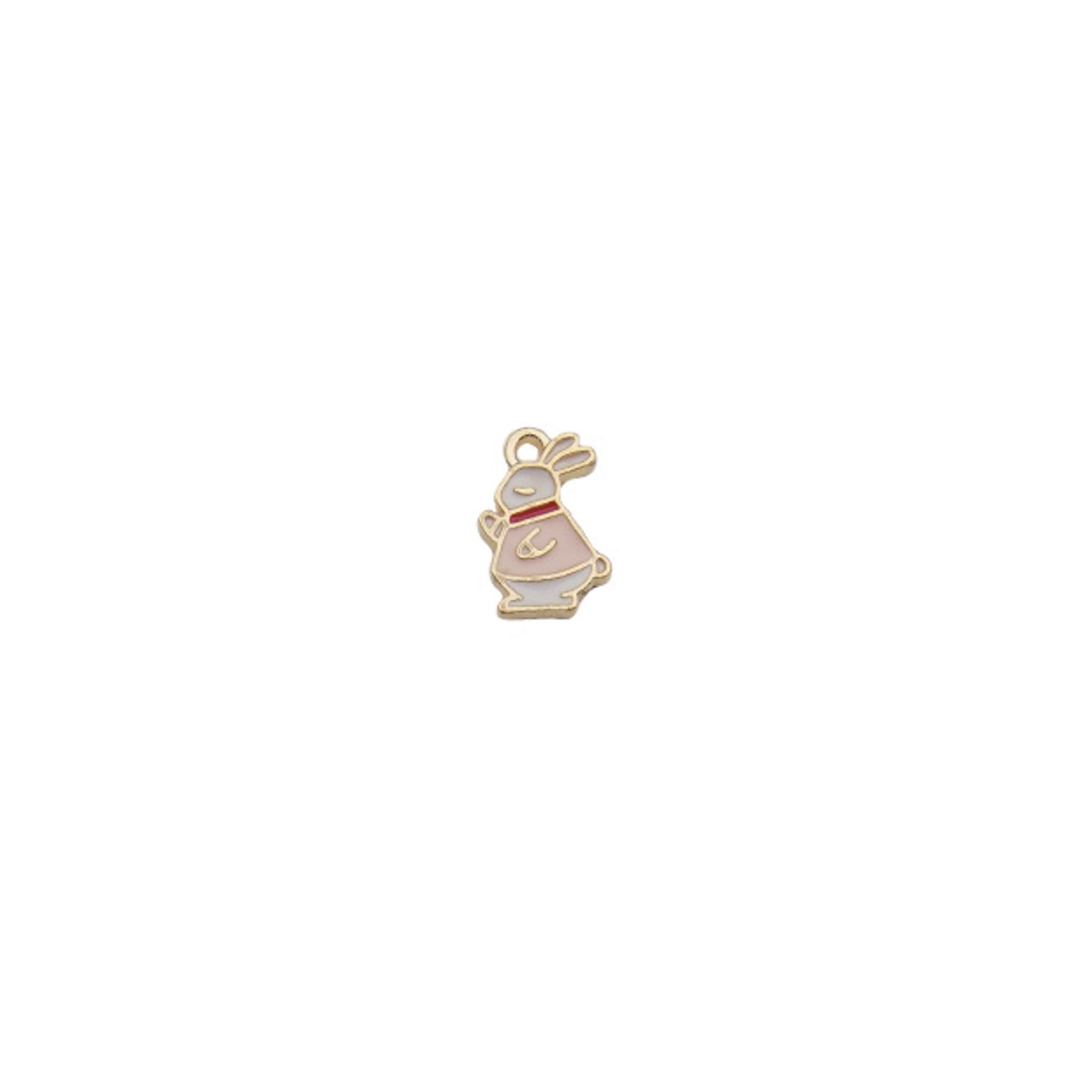 Charm of a Bunny Rabbit