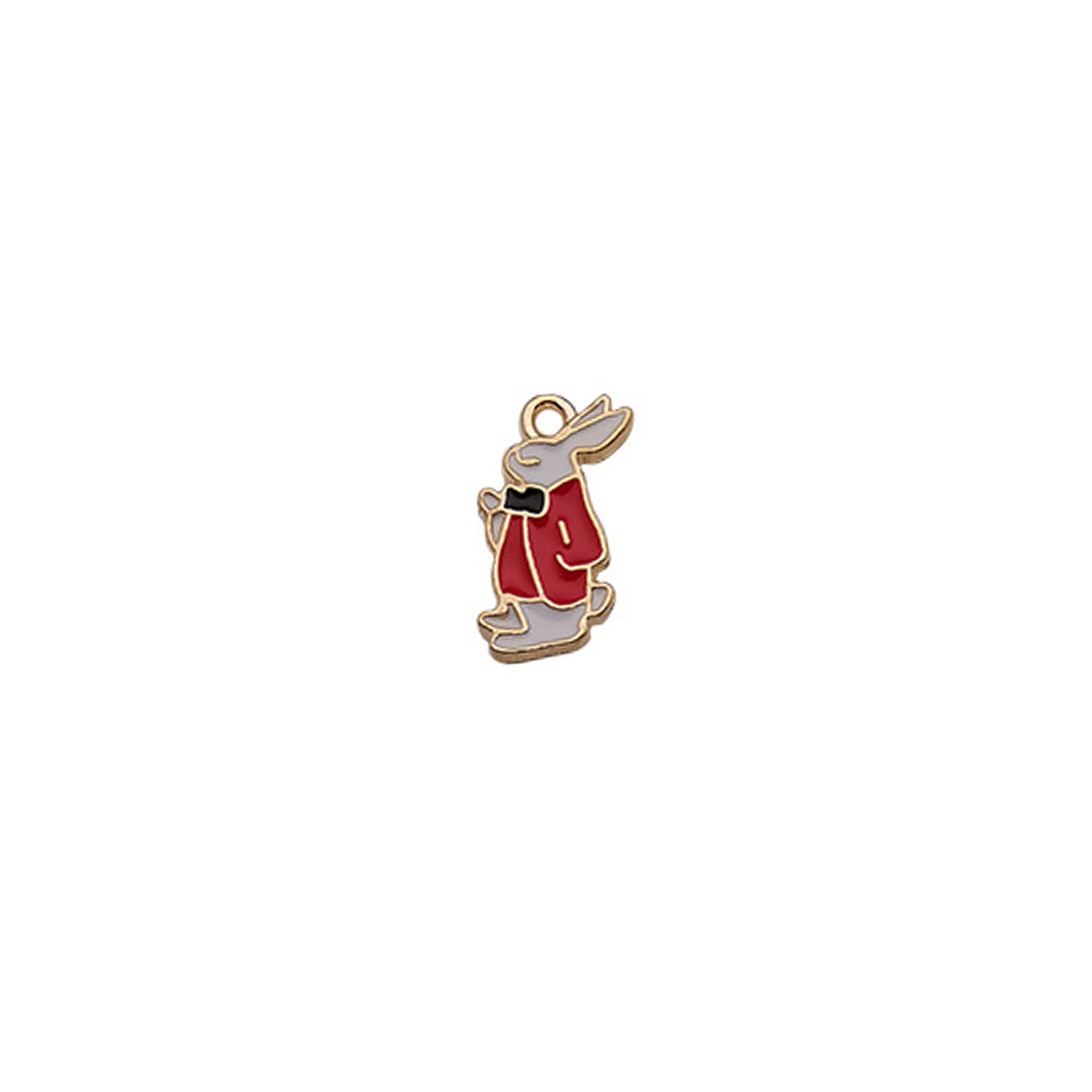 Charm of a Bunny Rabbit