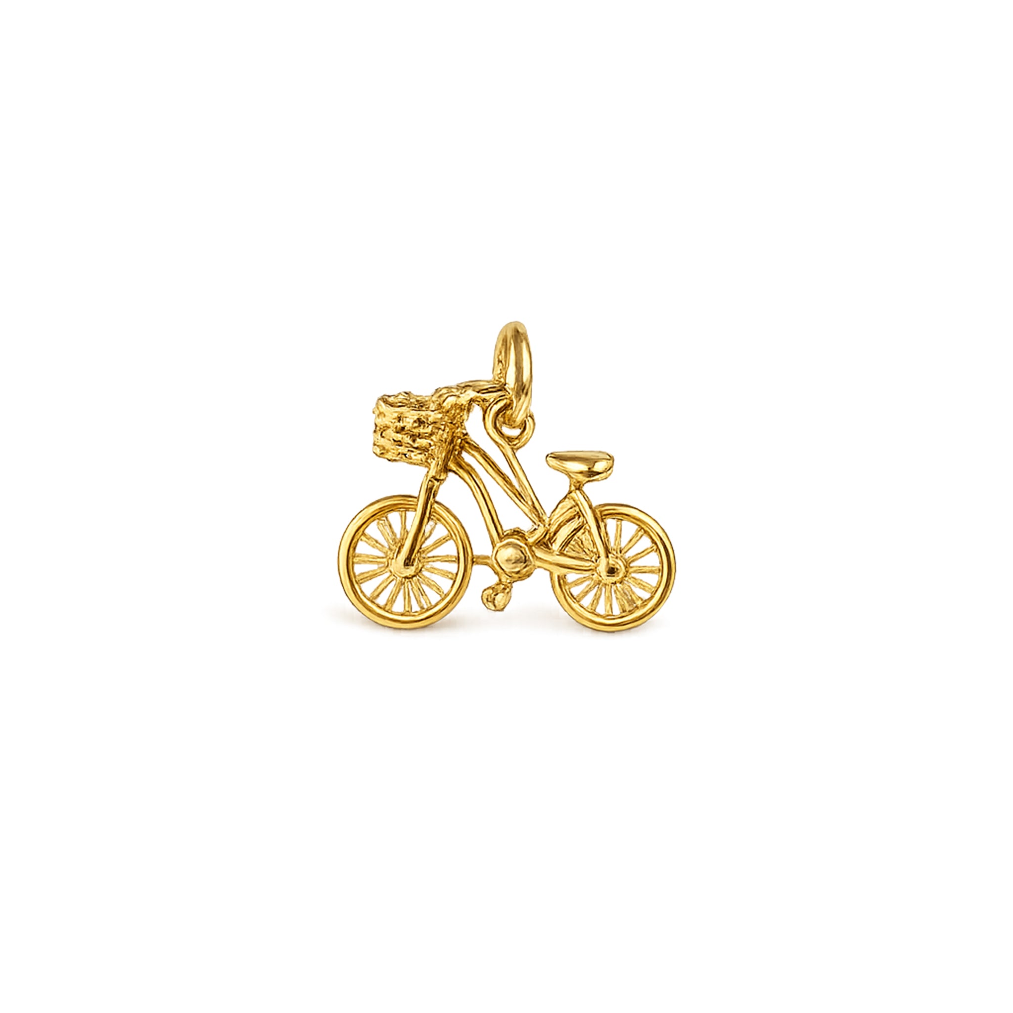 Charm of a Bicycle