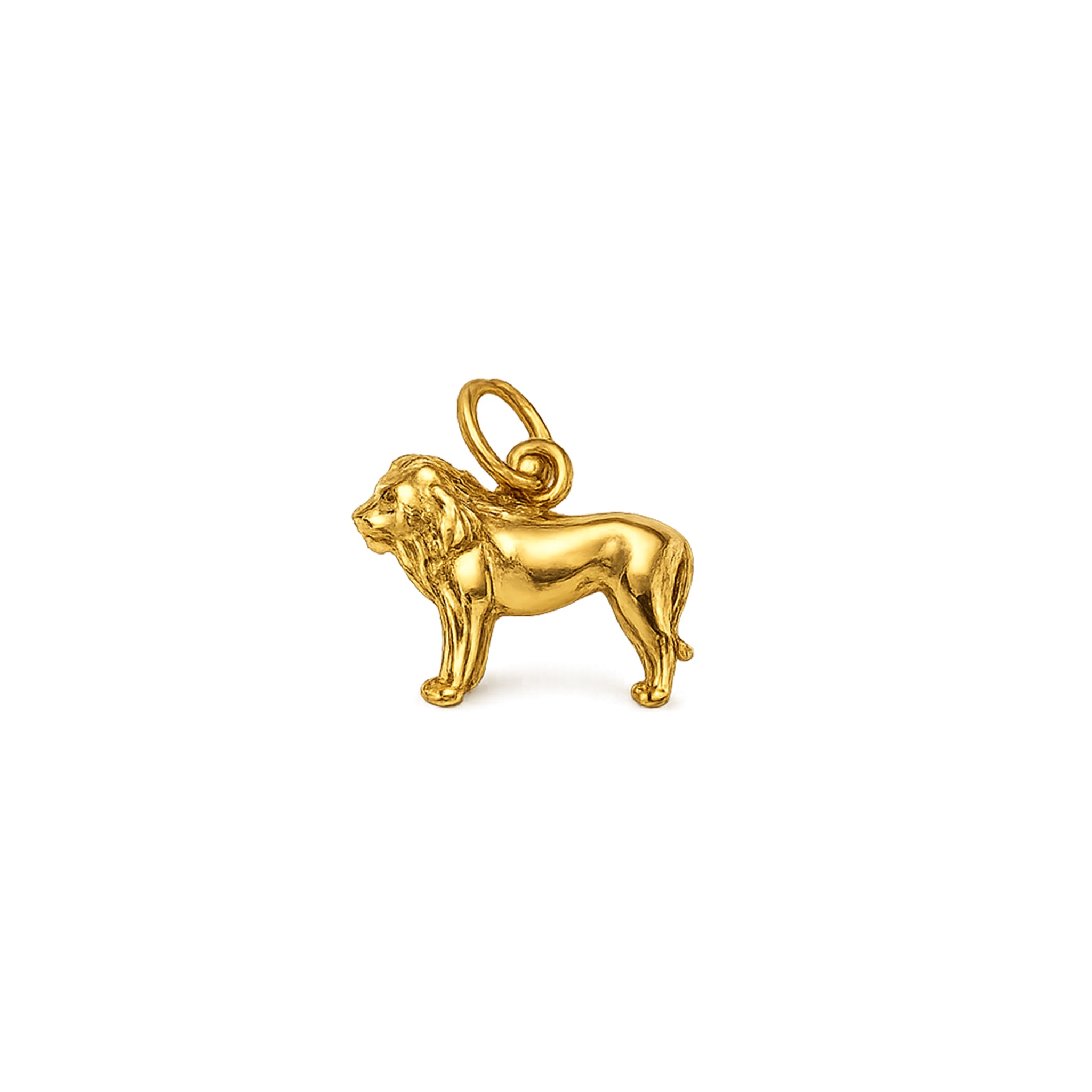 Charm of a Lion
