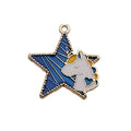 Pendant of a Unicorn Star